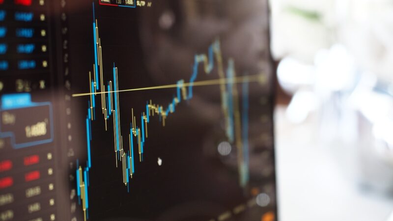 Finances publiques : la France fait contre mauvaise fortune bon cœur