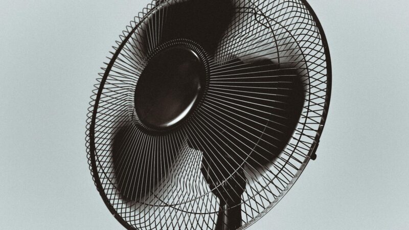Canicule : combien vous coûte un ventilateur allumé toute la nuit ?