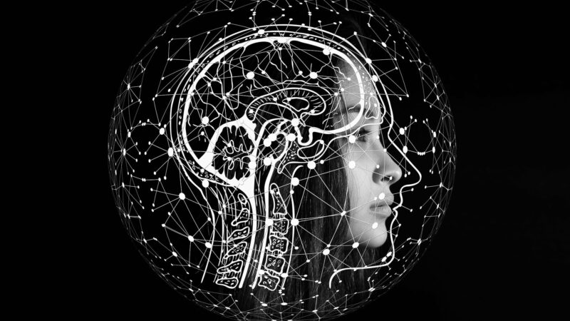 IA : près de 500 scientifiques alertent sur les risques de cyberattaques